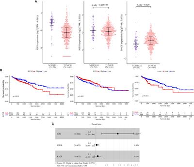 Correlation of serum IGF-1, AGEs and their receptors with the risk of colorectal cancer in patients with type 2 diabetes mellitus